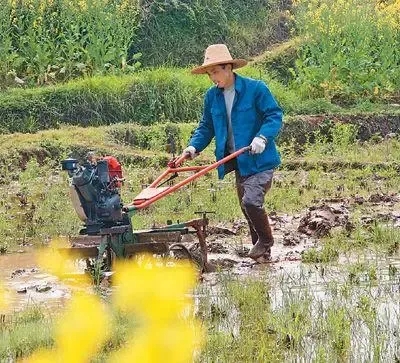 疫情防控的基本常識是什么？（疫情防控和春耕備耕兩不誤）